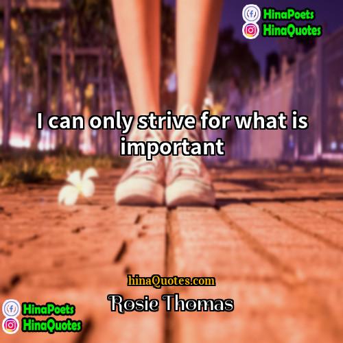 Rosie Thomas Quotes | I can only strive for what is